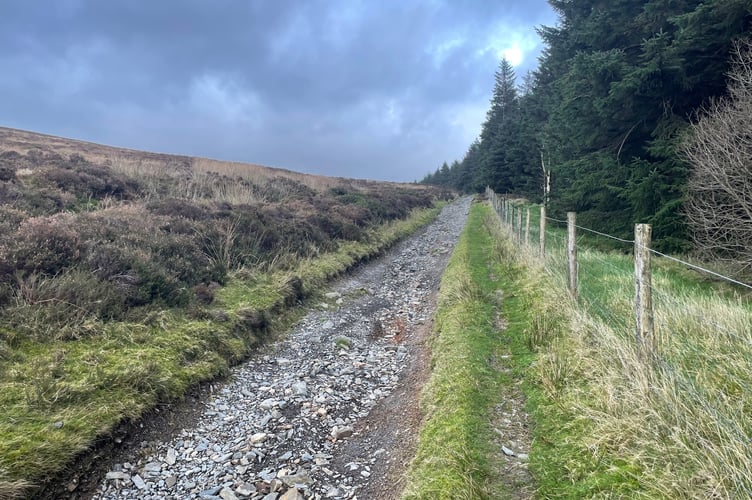 The track leading up towards Slieu Freoaghane beside Sartfell Plantation