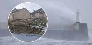 Pictures as Storm Darragh leaves a trail of destruction in its wake