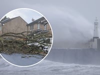 Pictures as Storm Darragh leaves a trail of destruction in its wake