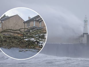 Pictures as Storm Darragh leaves a trail of destruction in its wake