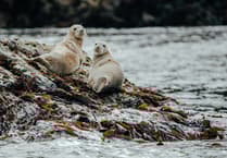 Why eco-tourism is the travel palate cleanser we all need