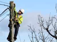 Public funds used to make telegraph pole plans 'go away'