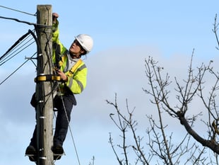 Public funds used to make telegraph pole plans 'go away'