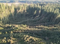 Photos show damage to island plantation as government issue update