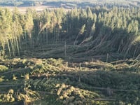 Photos show damage to island plantation as government issue update