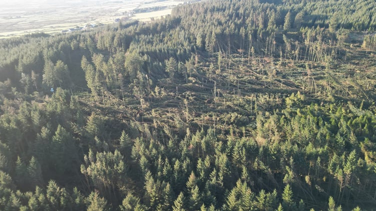 South Barrule Plantation is currently unsafe to visit and has been closed to the public until further notice due to significant storm damage