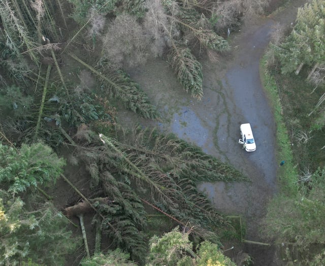 Government contingency fund only dipped into once in 2025