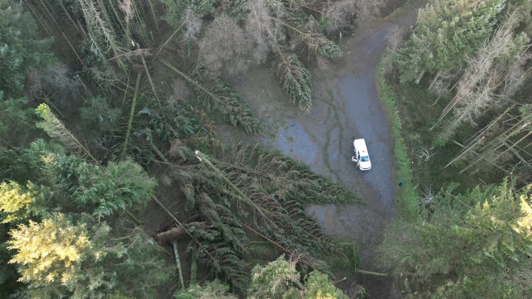 Archallagan also suffered considerable damage during the storm which has forced the Department to close the forest and its three car parks to the public