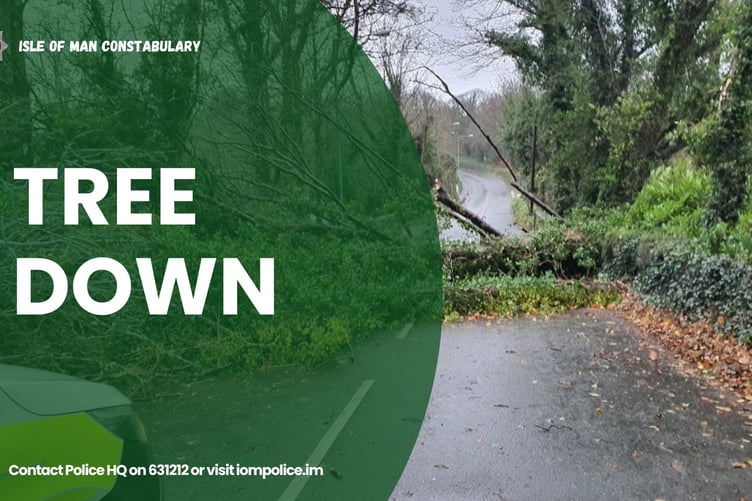 Trees are down causing problems on the roads as strong winds continue