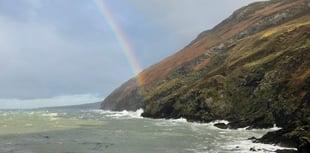 Forecasters confirm December was one of the warmest on record