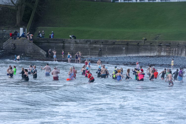 The dippers in perfect formation at Chapel Beach