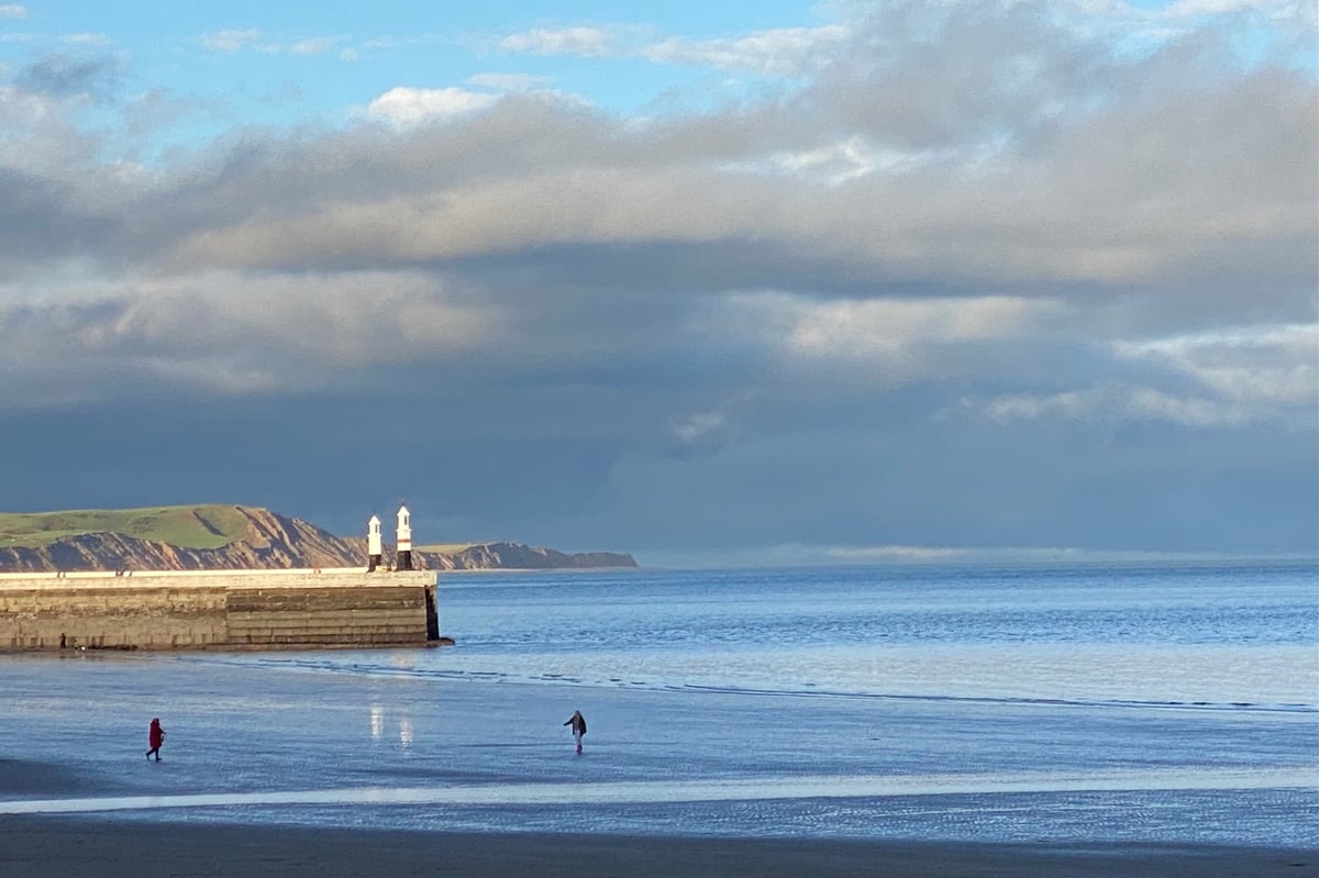 Co-op to host Ramsey beach clean and community get-together