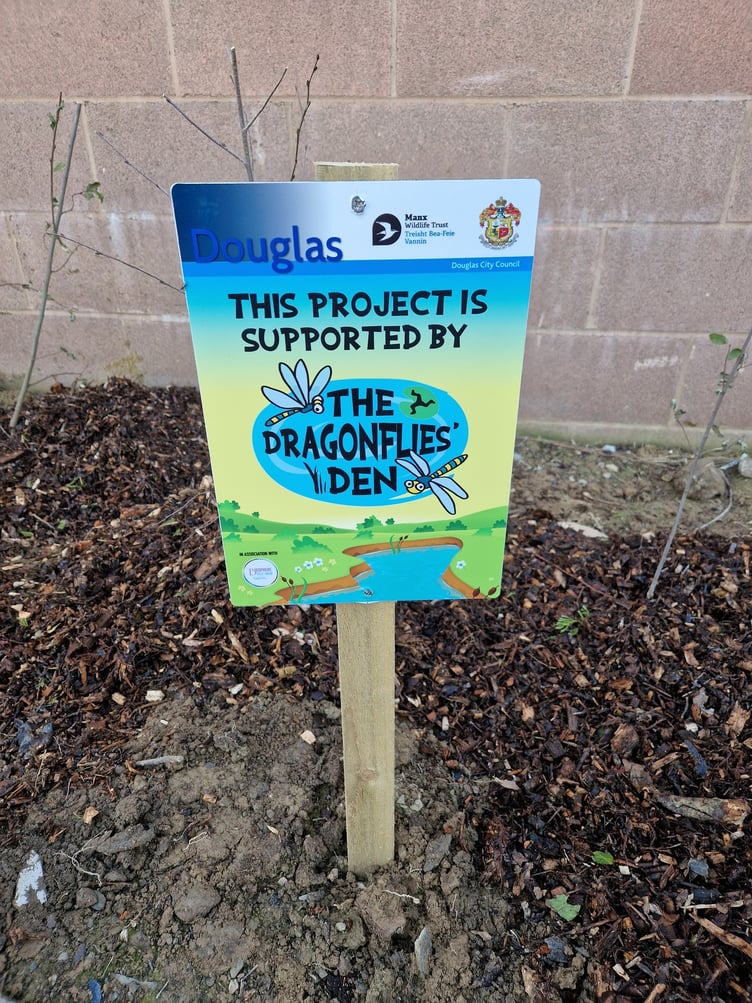 A Dragonflies' Den project in Douglas
