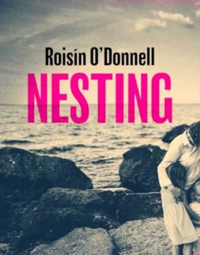 Book review: 'A powerful debut novel from this Irish author'