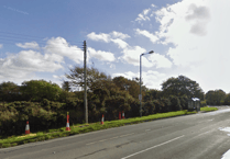 R plate driver seen 'swerving and tailgating' has licence revoked