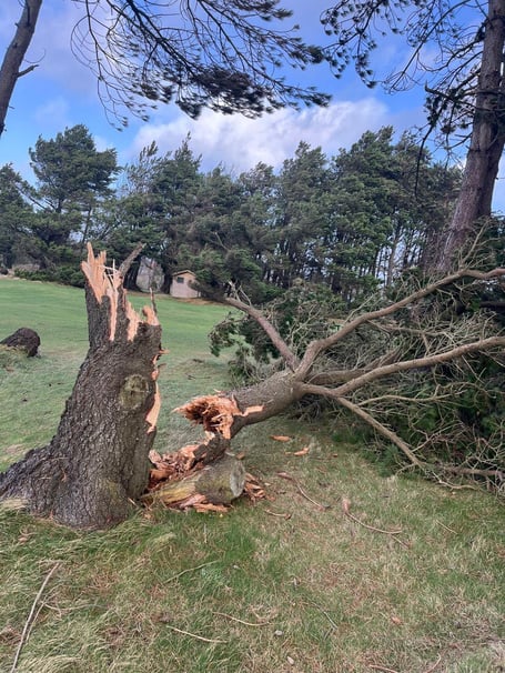 Storm Eowyn has caused significant damage at Peel Golf Club, forcing the closure of the course until Sunday at the earliest (Peel Golf Club)