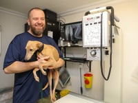 Vet temporarily leaves role due to personal circumstances 