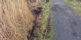 Minor damage to Heritage Trail caused by police van over the weekend 