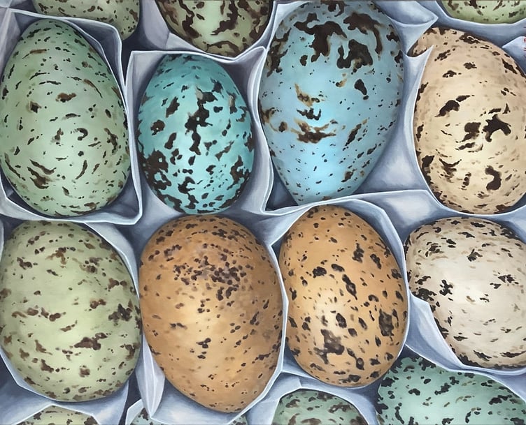 Eggs by Sally Black