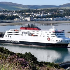 Passengers face ferry disruption into August