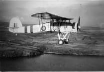 Wren's joy after pilot survives after plane crashes into the sea