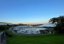 Commissioners introduce seaweed clearing schedule to prevent ‘horrific smell’