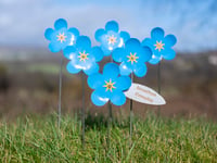 Hospice offers dedication to loved ones as part of its 'Memory Meadow'