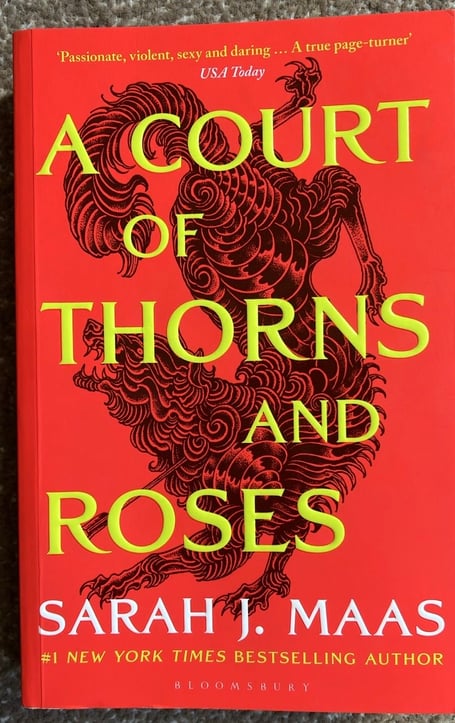 A Court of Thorns and Roses cover