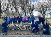 Video shows the new 'bug hotel' at the Comis built by schoolchildren