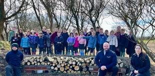 Video shows the new 'bug hotel' at the Comis built by schoolchildren