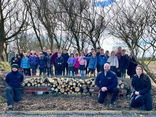 Video shows the new 'bug hotel' at the Comis built by schoolchildren