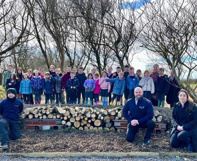 Video shows the new 'bug hotel' at the Comis built by schoolchildren