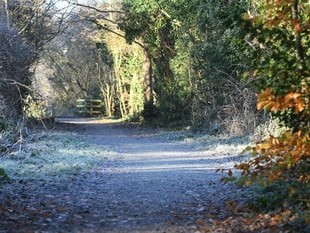 Weather warning for frost issued which will cover Monday rush hour