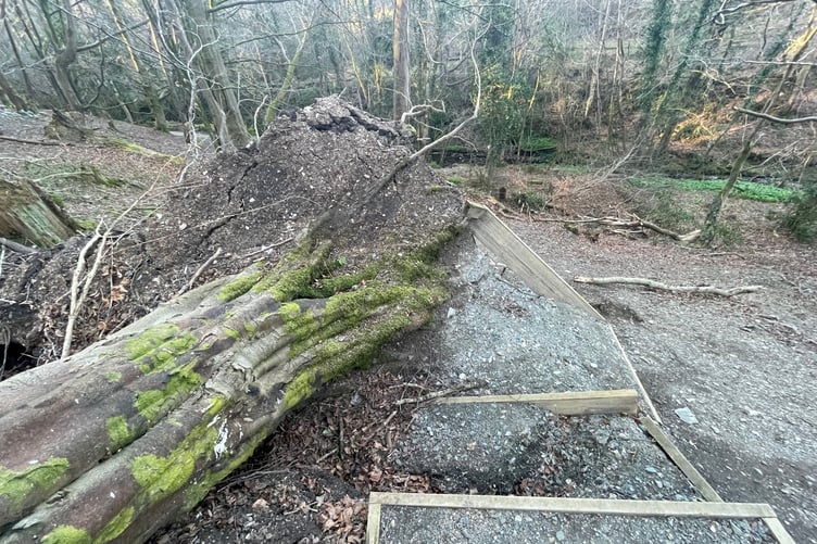 Paths at Molly Quirk's Glen in Onchan damaged by storms