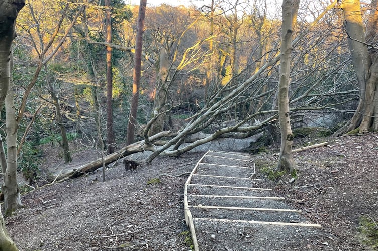 Storm damage at Molly Quirk's Glen in Onchan