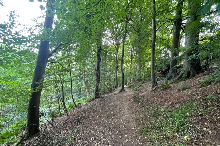 How Molly Quirk's Glen looked before the storms hit