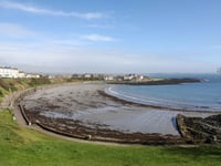 Port St Mary Commissioners look to tackle overgrown trees and plants