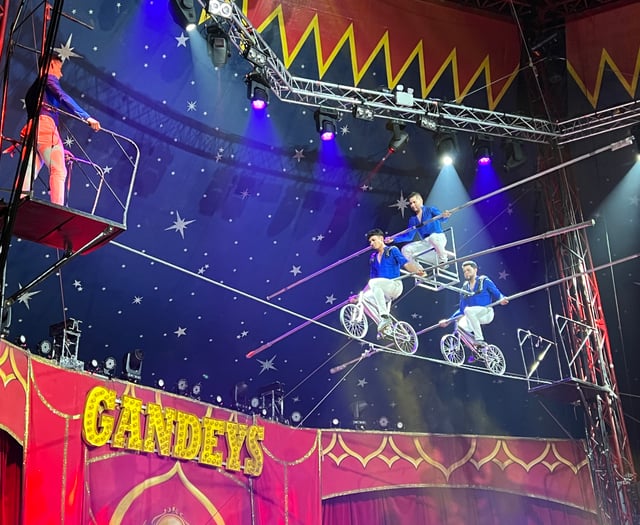 'I went to the carnival-themed circus show - it was non-stop action'
