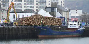 Hundreds of storm-damaged trees being exported as timber heads for UK