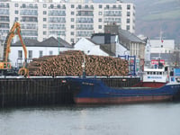 Hundreds of storm-damaged trees being exported as timber heads for UK