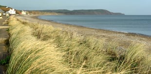 Beach cleanup to take this weekend