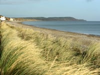 Beach cleanup to take this weekend