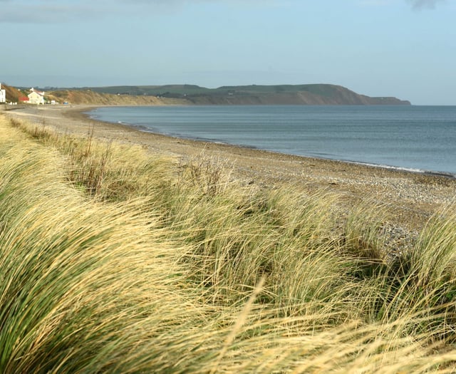 Beach cleanup to take this weekend