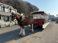 Watch as historic horse trams return to promenade for the new season