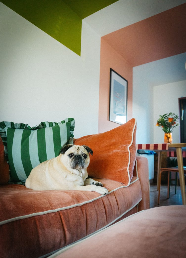 Ben and Amy's new build