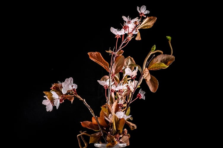 'Still Life' by Barry Murphy