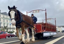 Fresh hopes for historic horse trams to run full length of Douglas Promenade