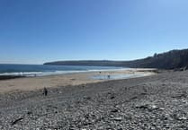 Warning over beach rules after dog leaves stinky surprise on swimmer's bag