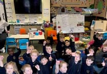 13 island primary schools take part in crocus-growing competition