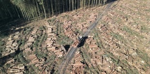 Government warn ignoring forest closures is putting workers at risk
